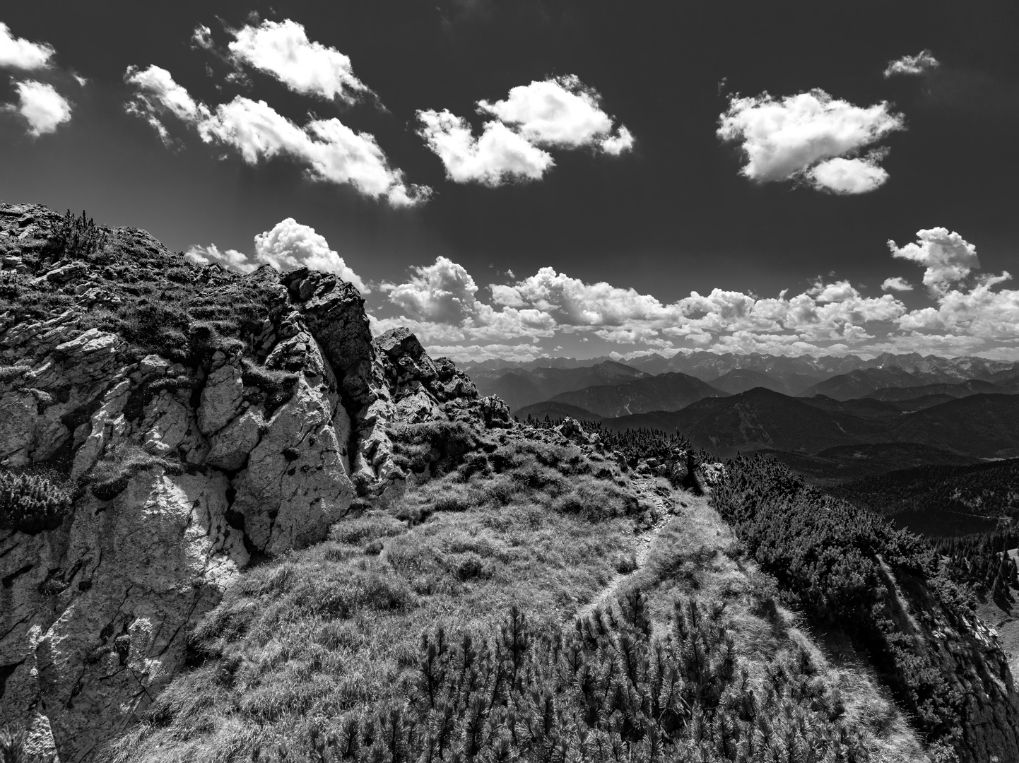 Gebirge  Brauneck Großer Höhenweg