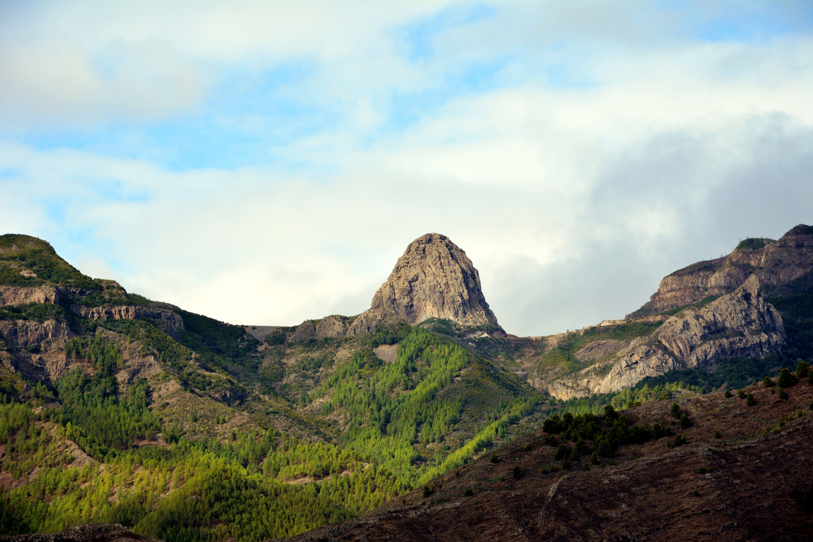 Gebirge mit Lorbeerwald auf La Gomera