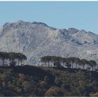 Gebirge von Ronda