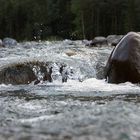 Gebirgsbach - Gefangen in Raum und Zeit