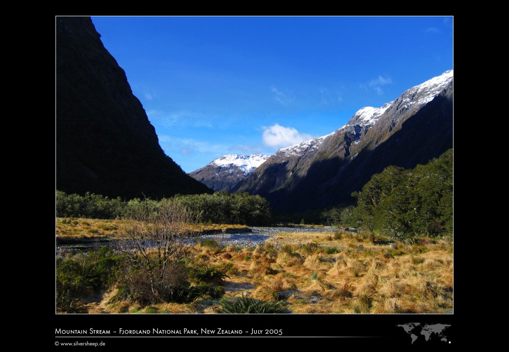 Gebirgsbach im Fjordland Nationalpark