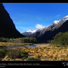 Gebirgsbach im Fjordland Nationalpark