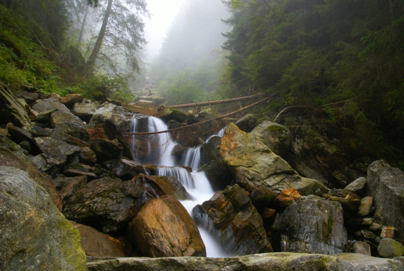 Gebirgsbach im Herbst