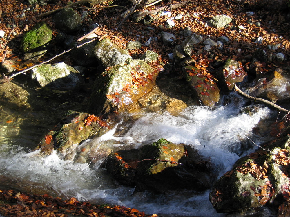 Gebirgsbach im Herbst