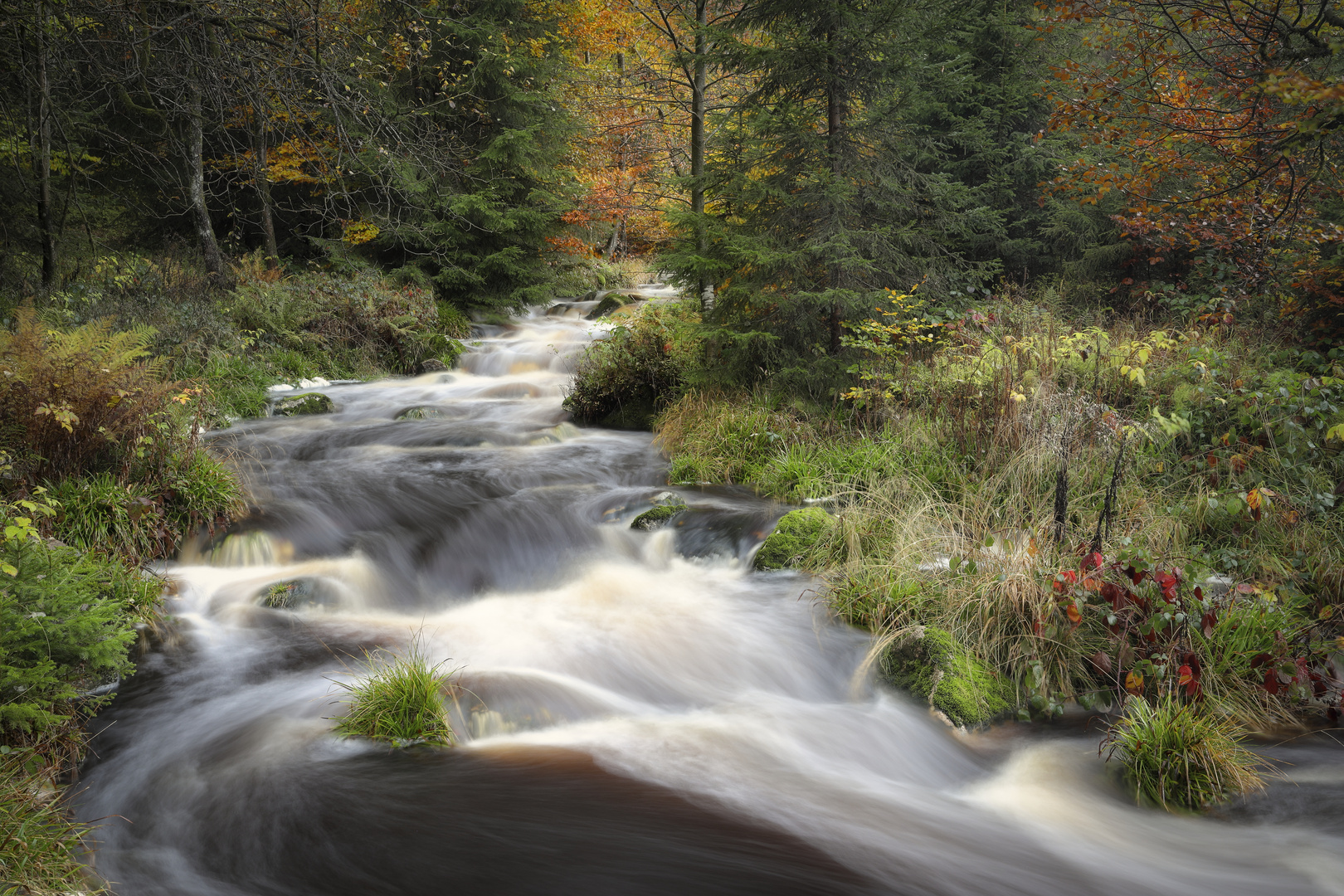 Gebirgsbach im Herbstwald