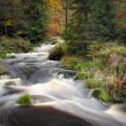 Gebirgsbach im Herbstwald