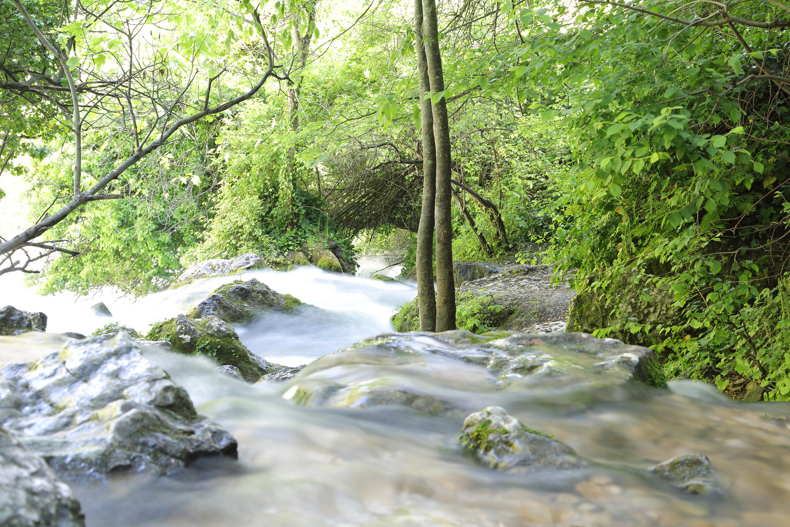 Gebirgsbach im Wald