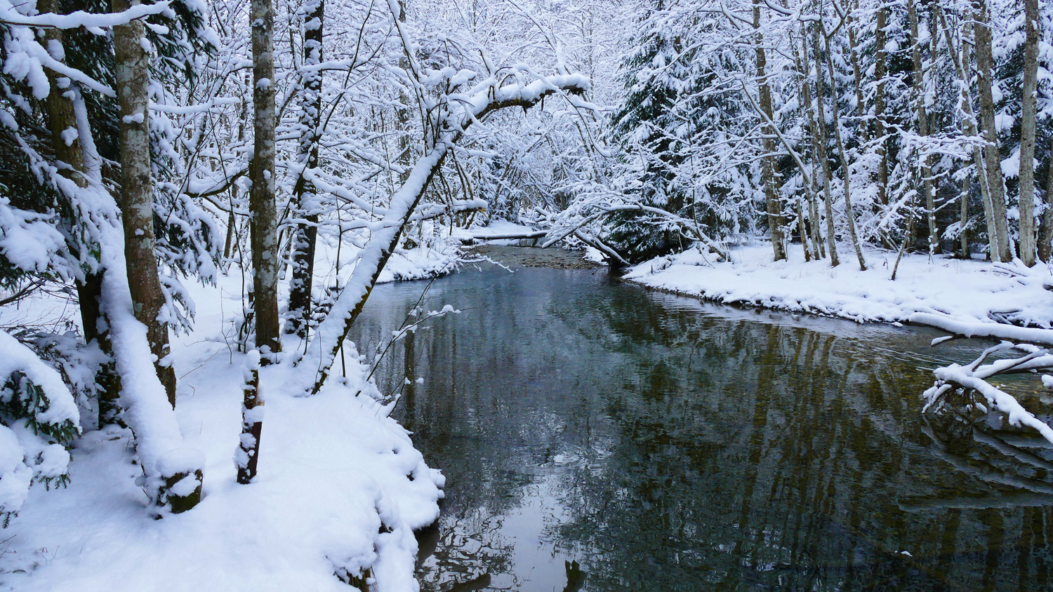 Gebirgsbach im Winter