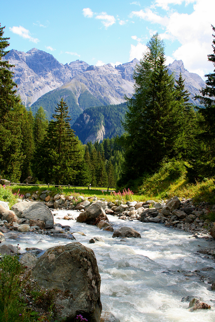 Gebirgsbach in der Nähe von Ftan (GB)