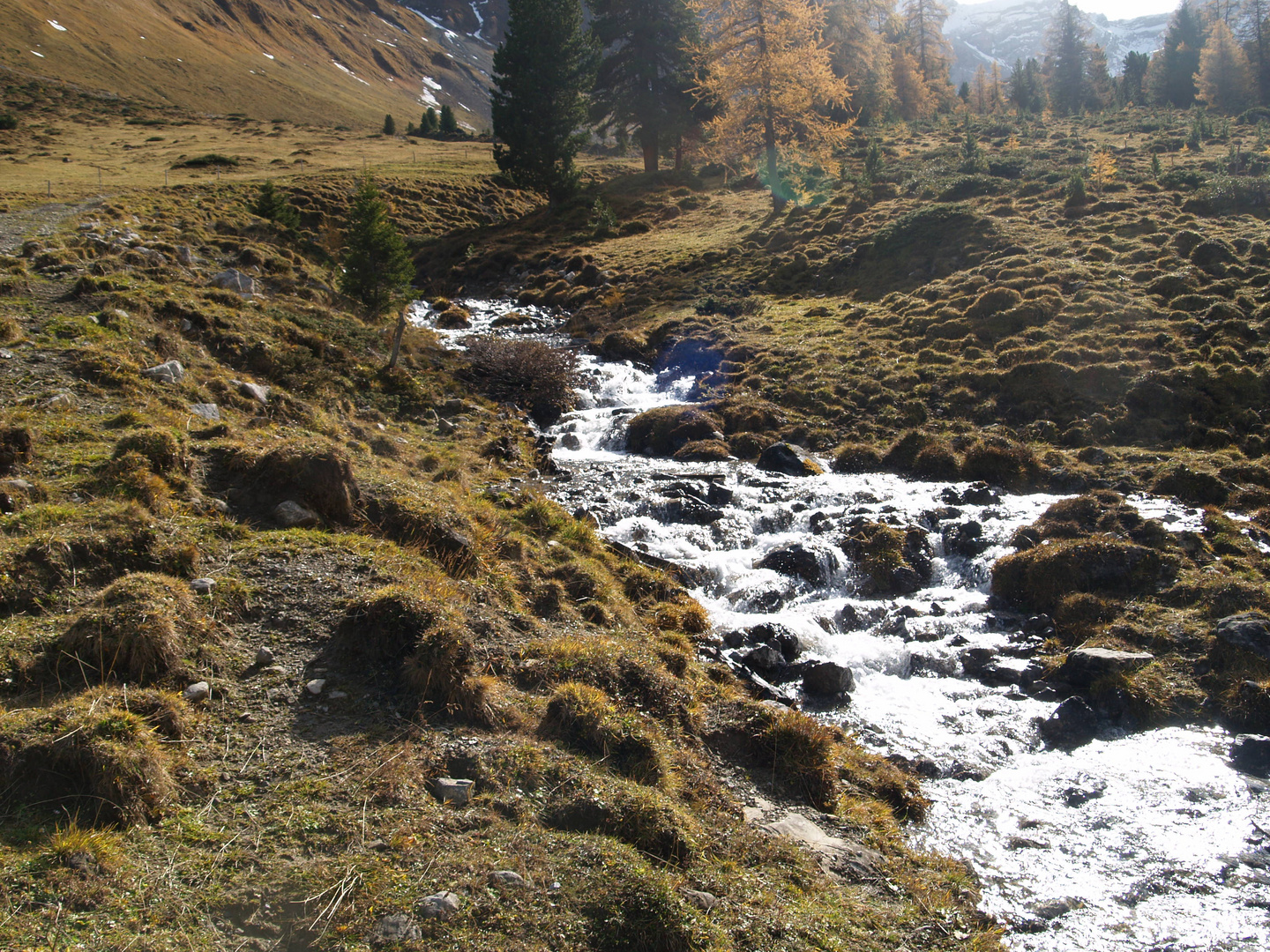 Gebirgsbach in der Schweiz