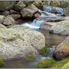 Gebirgsbach in der Sierra de Gredos