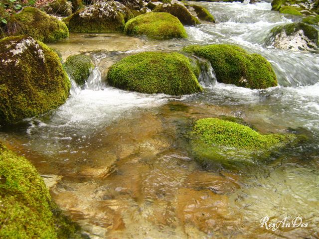 Gebirgsbach in Östereich