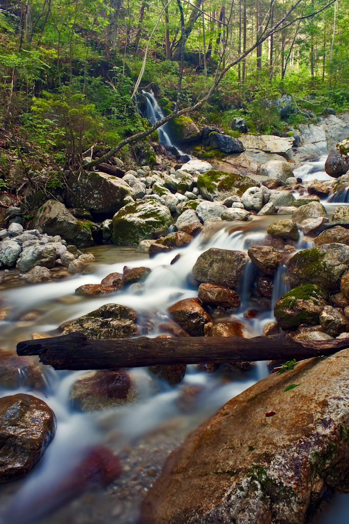 Gebirgsbach in Tirol