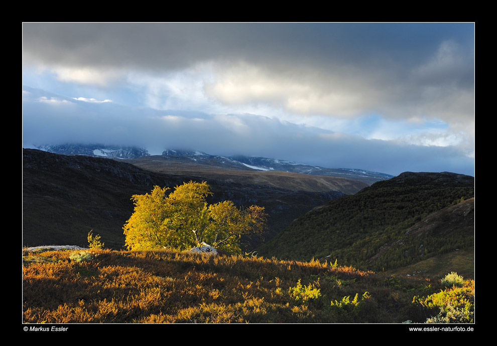 Gebirgslandschaft im Leirdalen • Oppland, Norwegen (88-21994)