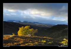 Gebirgslandschaft im Leirdalen • Oppland, Norwegen (88-21994)