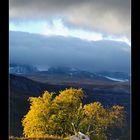 Gebirgslandschaft im Leirdalen • Oppland, Norwegen (88-21995)