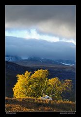 Gebirgslandschaft im Leirdalen • Oppland, Norwegen (88-21995)