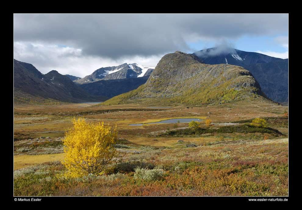 Gebirgslandschaft im Leirungsdalen • Oppland, Norwegen (86-21909)