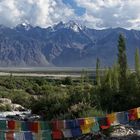 Gebirgslandschaft in Ladakh