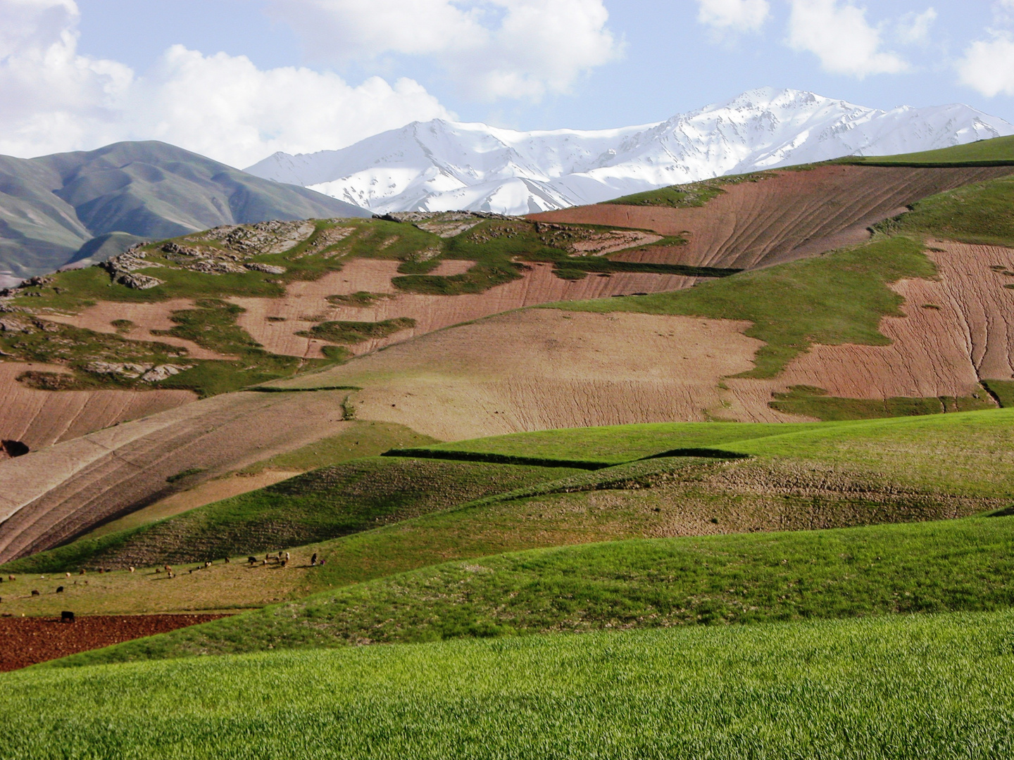 Gebirgslandschaft mit dem Hindukusch im Hintergrund