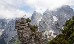 [ … Gebirgslandschaft Wilder Kaiser ]