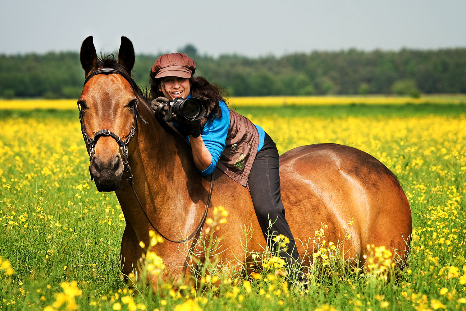 Gebisslos im Rapsfeld