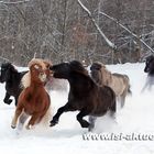 Geblödel im Schnee .....