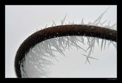 - gebogen und kristallisiert -