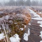 Gebogene Wege im Wurzacher Ried