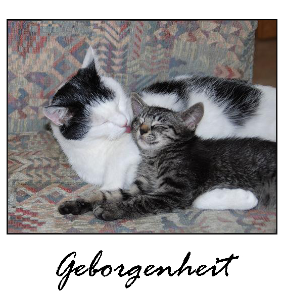 Geborgenheit