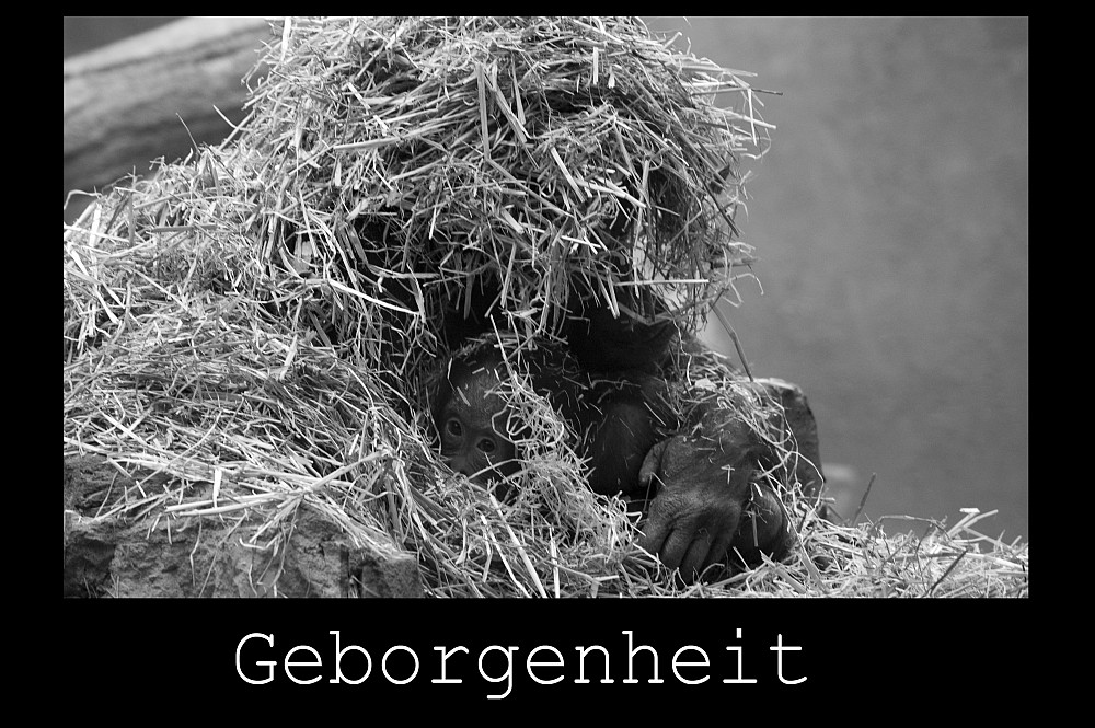 Geborgenheit