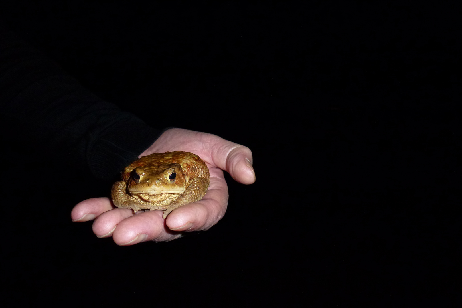 geborgenheit in rettender Hand