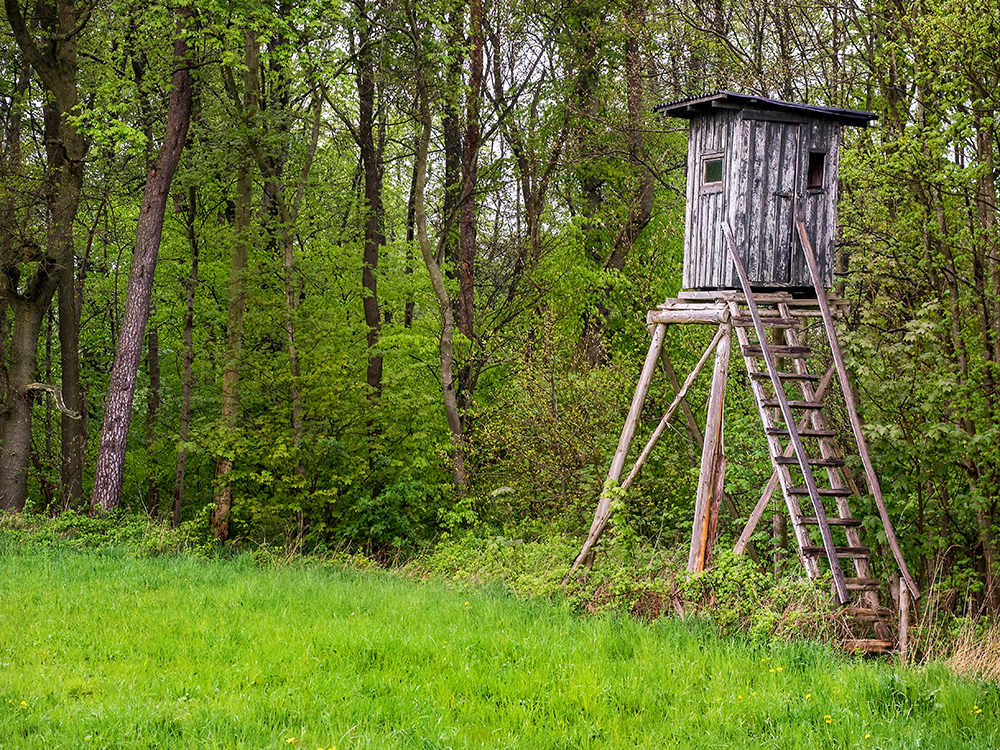 Gebrauchsüblicher Hochsitz am Waldesrand