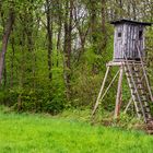 Gebrauchsüblicher Hochsitz am Waldesrand