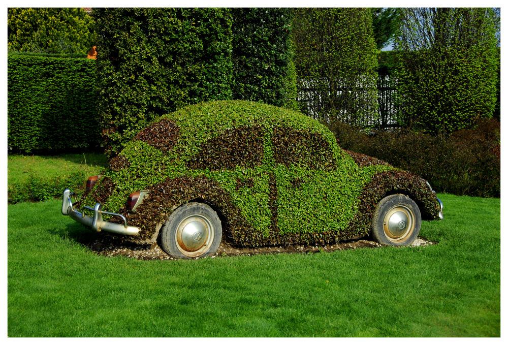 Gebrauchter VW Käfer....