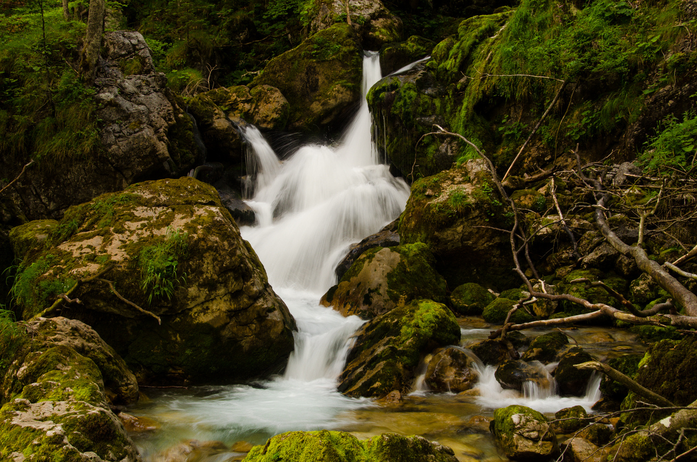 Gebrigsbach mit Trinkwasserqualität