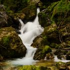 Gebrigsbach mit Trinkwasserqualität