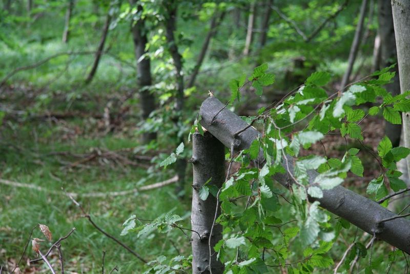 Gebrochen am Leben