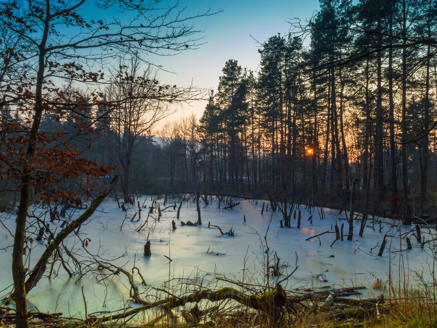 Gebrochen im Teich