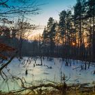 Gebrochen im Teich