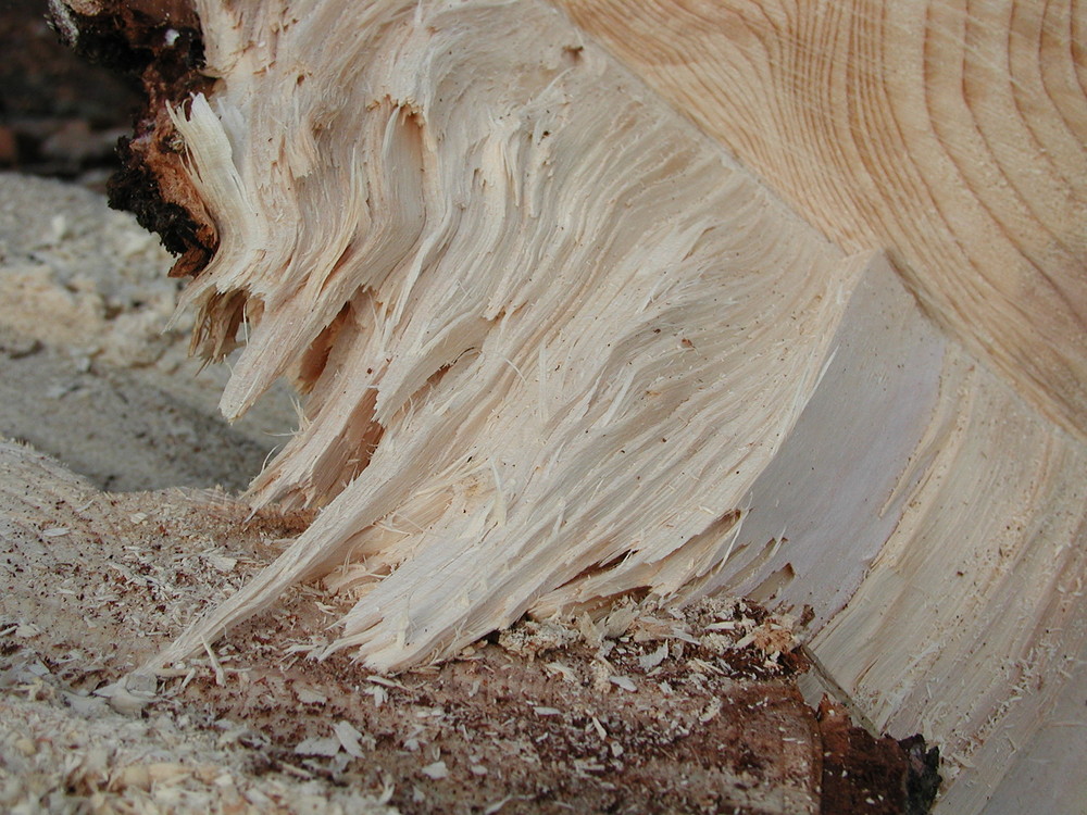 gebrochenes Holz