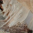 gebrochenes Holz