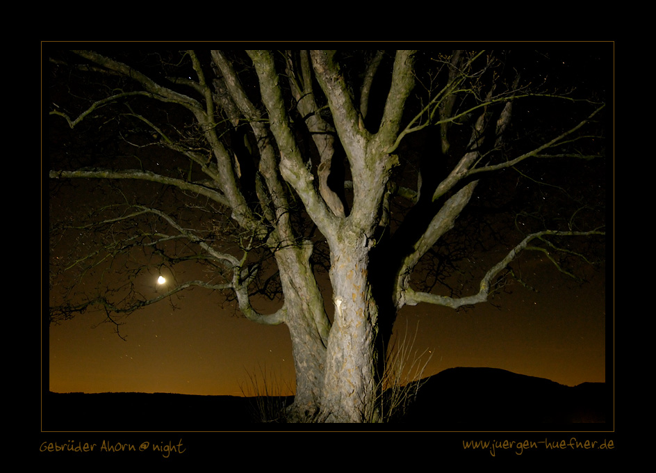 Gebrüder Ahorn @ night