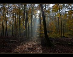 Gebündeltes Licht