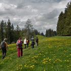 Geburtstag im Allgäu