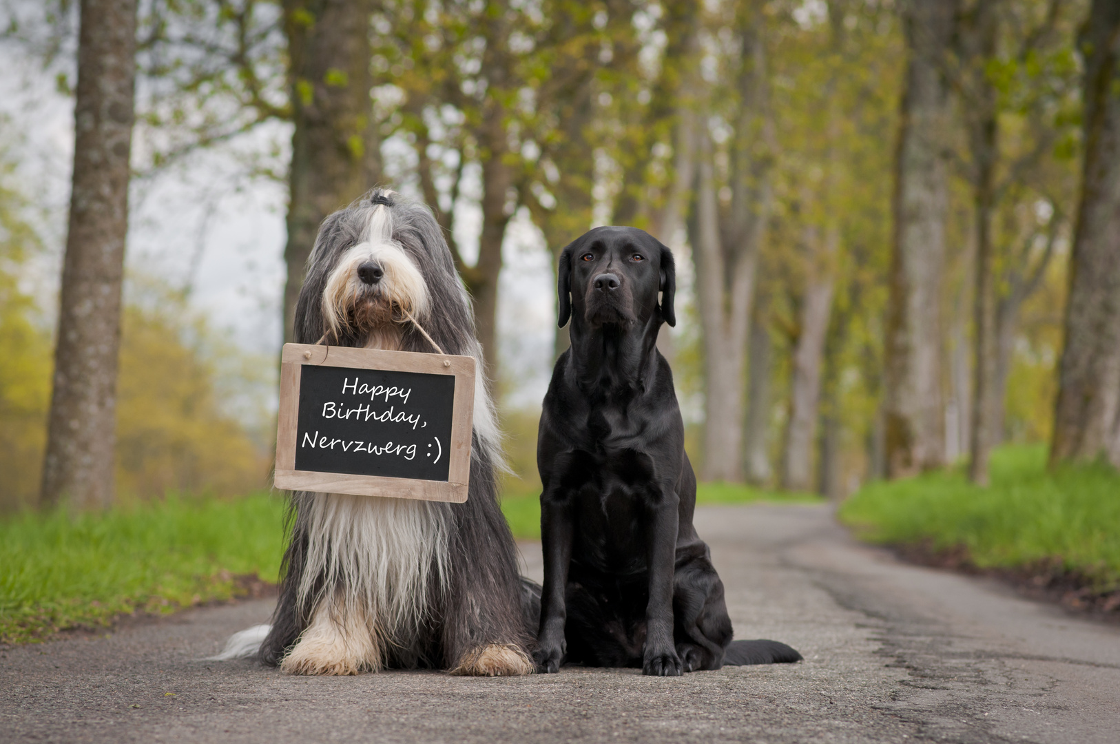 Geburtstag von Maggie