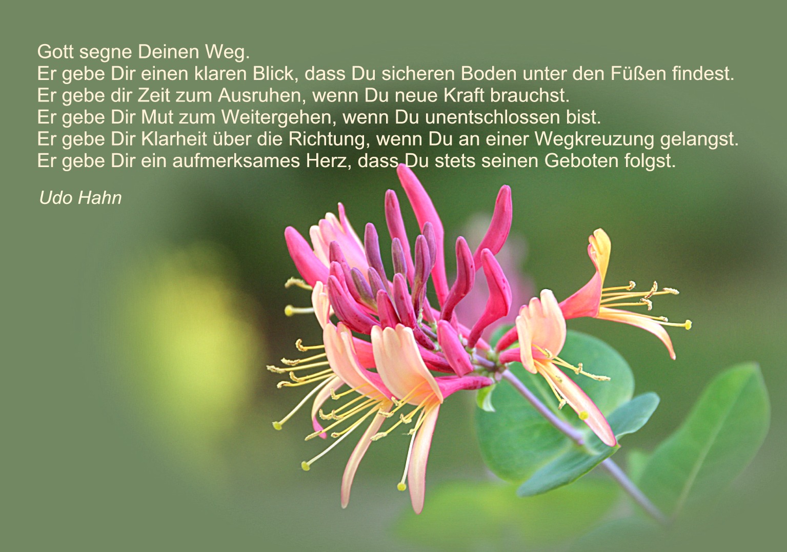 Geburtstage im Januar Foto & Bild gratulation und feiertage