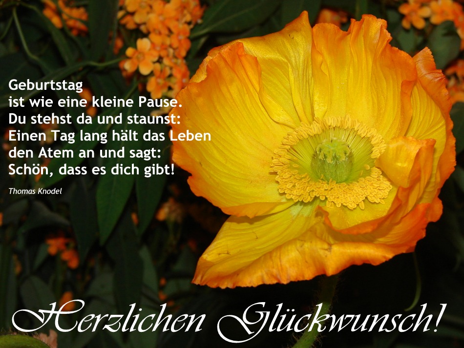Geburtstage im Januar Foto & Bild karten und kalender, geburtstage