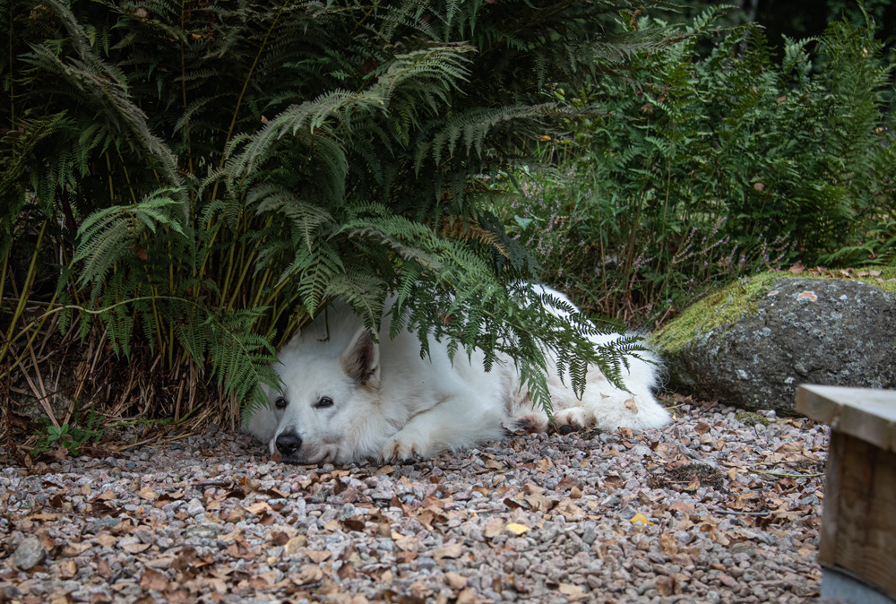 Geburtstags-Chillen