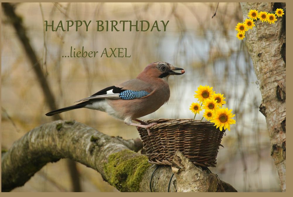 Geburtstagsvogi für Axel ) Foto & Bild spezial, geburtstag
